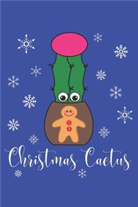 Christmas Cactus