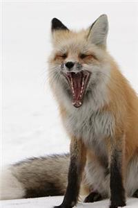 Red Fox Notebook