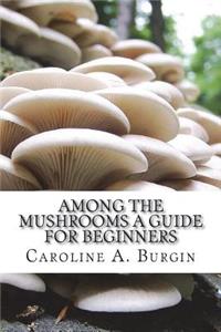Among the Mushrooms A Guide For Beginners