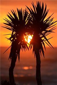 Kissing Palm Trees Journal
