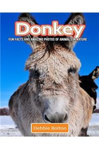 Donkey: Fun Facts and Amazing Photos of Animals in Nature