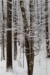 2019 Daily Planner Winter Season Pretty Woods 384 Pages