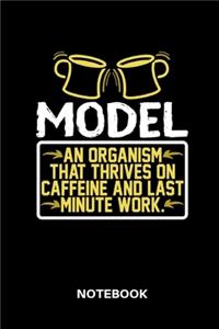 Model - Notebook