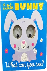 What Can You See? Little Bunny What Can You See?