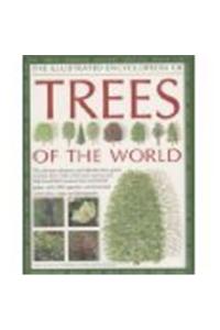 Trees Of The World An Illustrated Encyclopedia Andidentifier