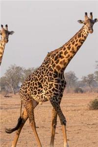 Giraffe Notebook