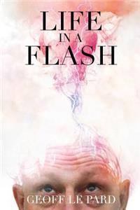 Life in a Flash