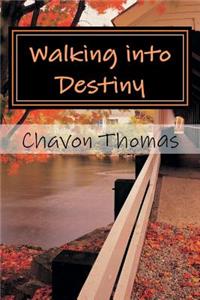 Walking into Destiny