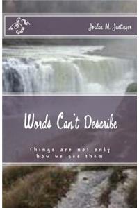 Words Can't Describe: Things are not only as we see them. Everyone has a unique experience for each and every moment. Diversity in thought and understanding create enligh