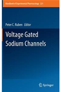 Voltage Gated Sodium Channels