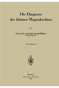 Die Diagnose Des Kleinen Magenkrebses