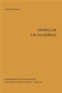 Modular Lie Algebras