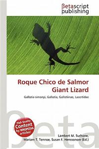 Roque Chico de Salmor Giant Lizard