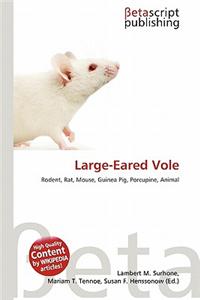 Large-Eared Vole