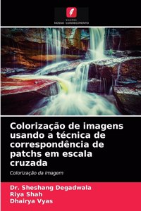 Colorização de imagens usando a técnica de correspondência de patchs em escala cruzada