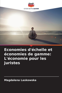 Economies d'échelle et économies de gamme