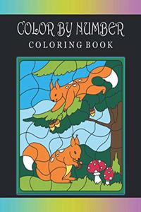 Color By Number Coloring Book