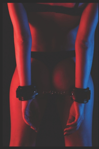 Ultimate Guide to Vetting BDSM Submissives
