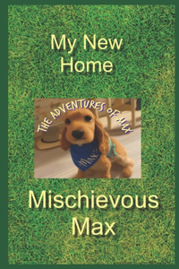 The Adventures of Max
