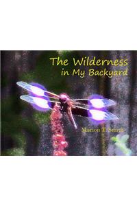 Wilderness in My Backyard