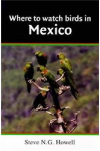 Where to Watch Birds in Mexico