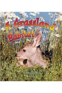 Grassland Habitat