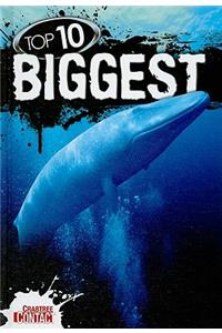 Top 10 Biggest