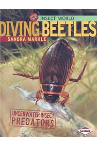 Diving Beetles: Underwater Insect Predators