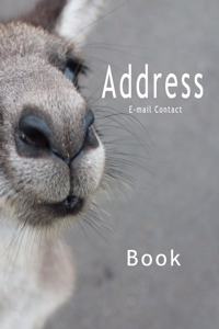 Address E-mail Contact Book