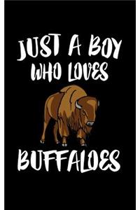 Just A Boy Who Loves Buffaloes