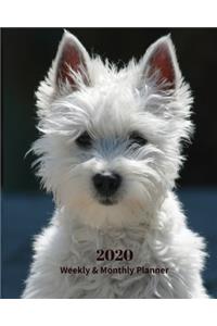 2020 Weekly and Monthly Planner