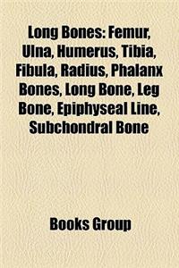 Long Bones