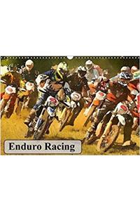 Enduro Racing 2017