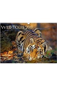Wild Tigers 2018 2018