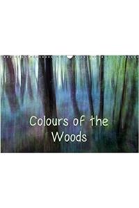 Colours of the Woods 2018