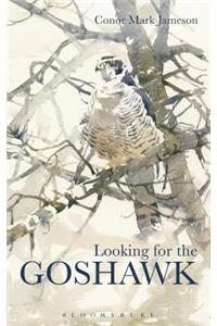 Looking for the Goshawk