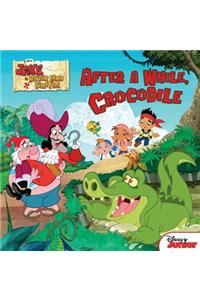 After a While, Crocodile