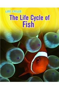 Life Cycles Life Cycle of Fish