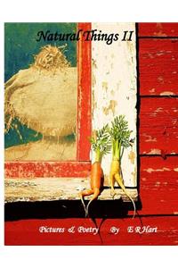 Natural Things II