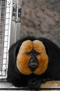 Golden-Faced Saki Monkey Journal