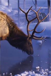 Winter Elk Notebook
