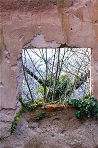 View Through a Window in an Abandoned House Journal