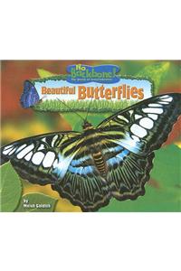 Beautiful Butterflies