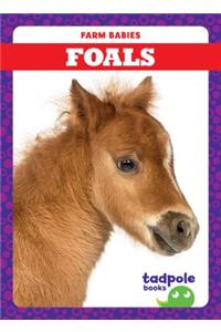 Foals