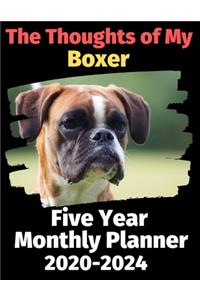 The Thoughts of My Boxer