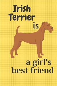 Irish Terrier is a girl's best friend