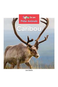 Caribou