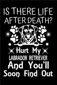 Is There Life After Death Hurt My Labrador Retriever And You'll Soon Find Out