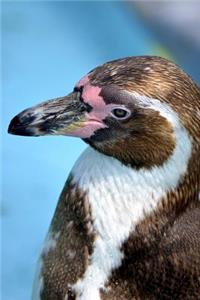 Portrait of a Humboldt Penguin Journal
