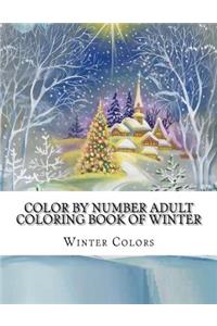 Color By Number Adult Coloring Book of Winter
